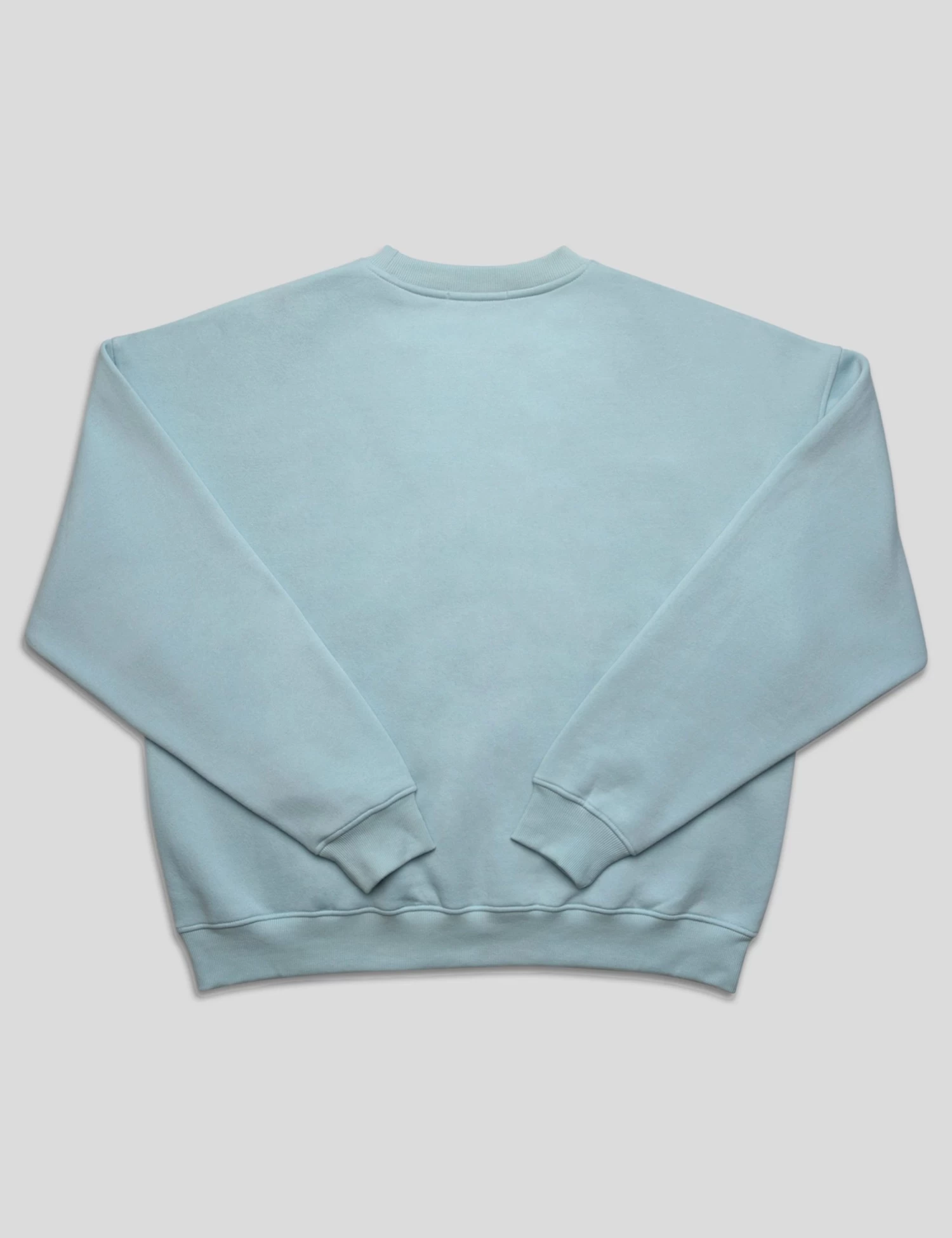 KAIIA SLOGAN OVERSIZED SWEATSHIRT LIGHT BLUE 8 KAIIA SLOGAN OVERSIZED SWEATSHIRT LIGHT BLUE - Image 8